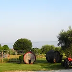30 * Moniga del Garda